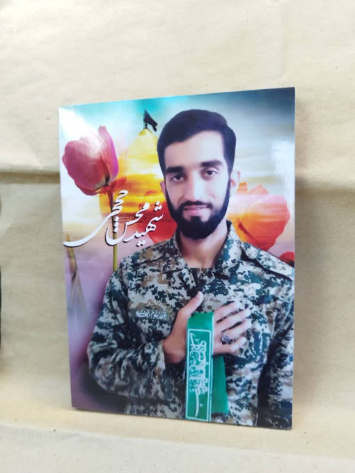 شهید حججی