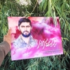 قاب شاسی با کیفیت شهید حمید سیاهکالی مرادی