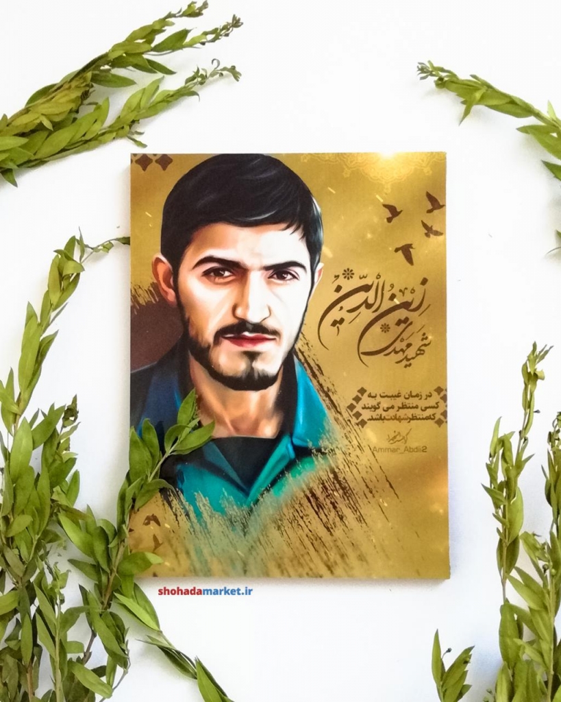 قاب شاسی با کیفیت شهید سردار مهدی زین الدین