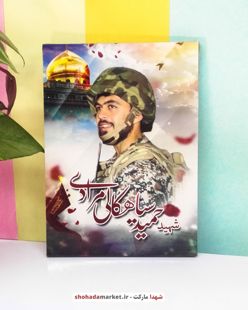 قاب تخته شاسی با کیفیت از شهید سیاهکالی مرادی