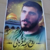شهید قربانی