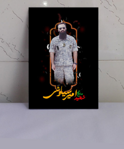 قاب عکس شهید امیر سیاوشی / شهید مدافع حرم