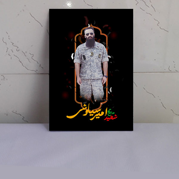 قاب عکس شهید امیر سیاوشی / شهید مدافع حرم قاب عکس شهید امیر سیاوشی / شهید مدافع حرم