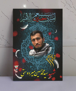 قاب شاسی شهید سید محمد حسین میردوستی