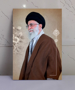 قاب شاسی زیبای رهبری باکیفیت بالا
