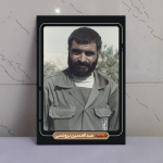 قاب شاسی شهدا شهید برونسی