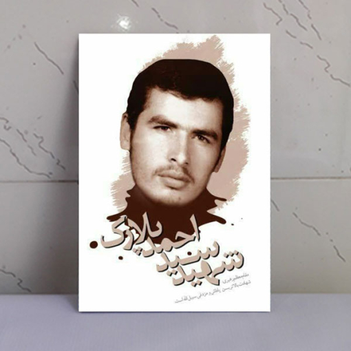 قاب شاسی شهدا شهید سید احمد پلارک