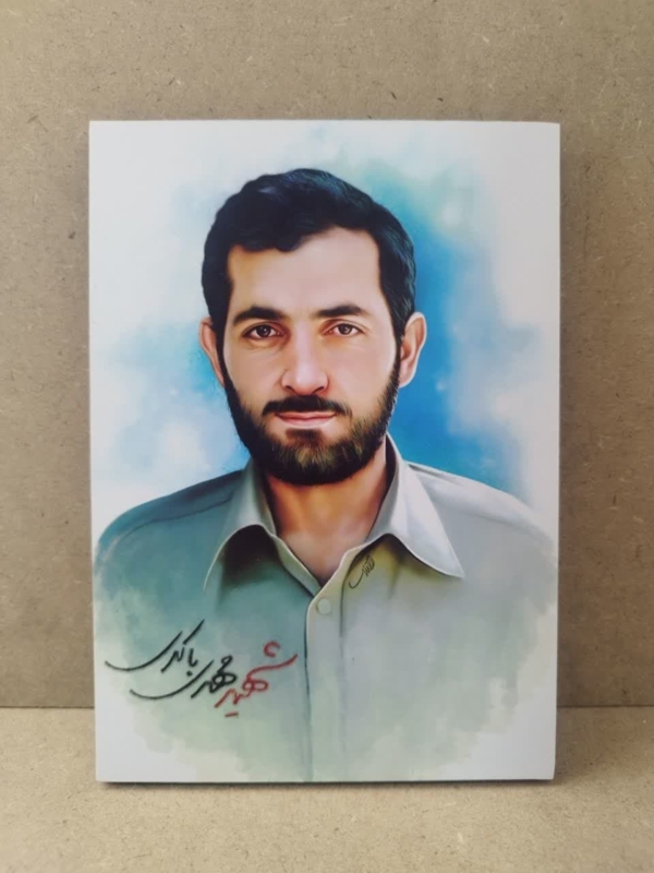 قاب شاسی شهید مهدی باکری