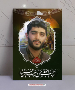 قاب شاسی شهید محمودرضا بیضایی طرح احب الله من احب حسینا