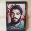 قاب شاسی شهید ابراهیم هادی با طراحی زیبا
