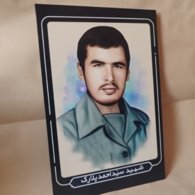 خرید قاب شاسی شهید سید احمد پلارک با طراحی زیبا