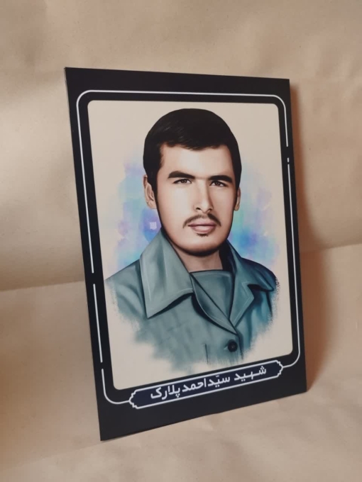 خرید قاب شاسی شهید سید احمد پلارک با طراحی زیبا