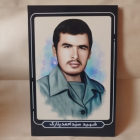 قاب شاسی شهید سید احمد پلارک با طراحی زیبا