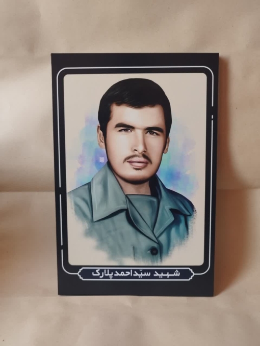 قاب شاسی شهید سید احمد پلارک با طراحی زیبا