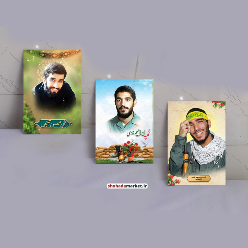 قاب شاسی ۳ تکه شهیدان ابراهیم هادی و محمد هادی ذوالفقاری و محسن حججی