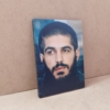 قاب شاسی زیبای شهید ابراهیم هادی