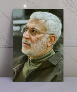 قاب شاسی شهید ابومهدی