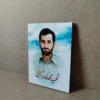 شهید باکری قاب شاسی زیبا