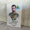 تابلو شاسی شهید محسن حججی