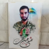شاسی شهید محسن حججی