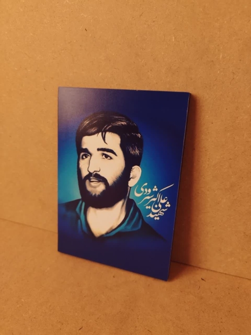 شاسی شهید خلبان علی اکبر شیرودی