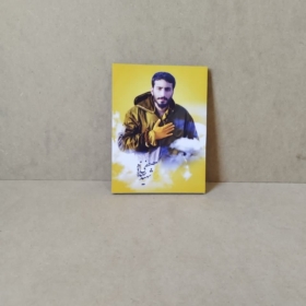 قاب شهید مصفی صدرزاده