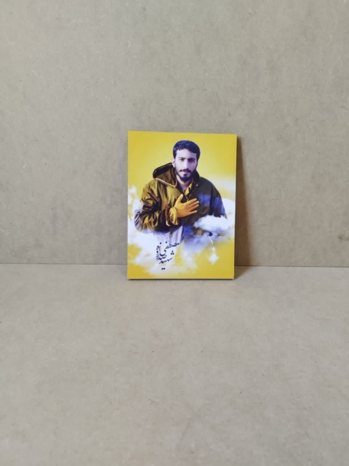 قاب شهید مصفی صدرزاده