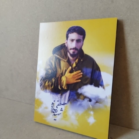 قاب شاسی زیبای شهید صدرزاده