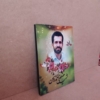 قاب شاسی شهید مصطفی احمدی روشن با کیفیت بسیار بالا