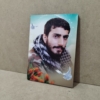 قاب شاسی باکیفیت شهید صدرزاده