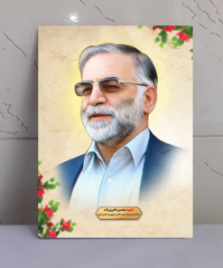 قاب شاسی زیبا و باکیفیت شهید محسن فخری زاده