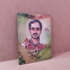 قاب شاسی شهید هسته ای شهید مجید شهریاری