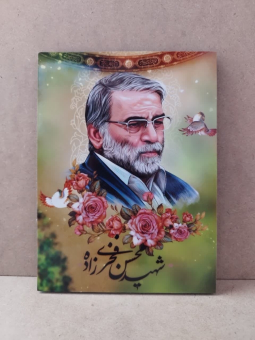 قاب شاسی شهید زیبای محسن فخری زاده