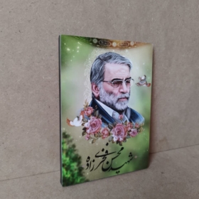 قاب عکس زیبای شهید فخری زاده