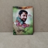 شاسی زیبای شهید اعطایی