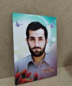 قاب شاسی شهید باکری