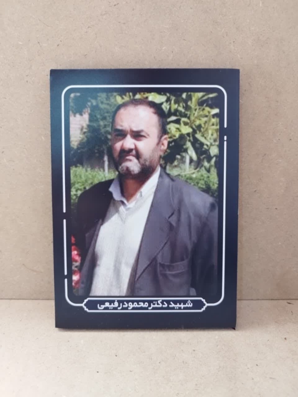 قاب شاسی چهره شهید دکتر محمود رفیعی