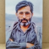 شاسی شهید آوینی
