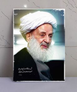قاب عکس فوق العاده آیت الله مجتهدی تهرانی(ره)