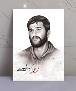 قاب شاسی شهید خلبان علی اکبر شیرودی
