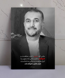 قاب شاسی شهید امیر عبداللهیان ( طرح ملت شهادت)