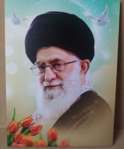قاب شاسی رهبری با طراحی فوق العاده زیبا