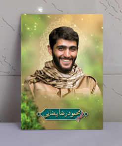 قاب شاسی شهید محمودرضا بیضایی باکیفیت عالی