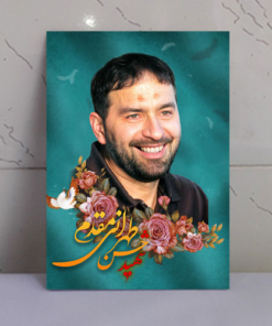 قاب شاسی شهید حسن تهرانی مقدم