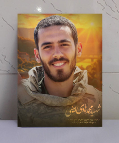 قاب شاسی شهید محمد هادی امینی
