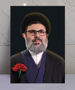 قاب شاسی شهید سید هاشم صفی الدین