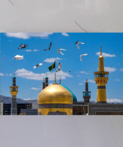 قاب شاسی حرم امام رضا(ع) باب‌الحوائج