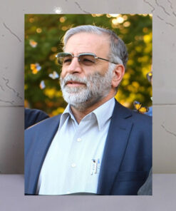 قاب شاسی شهید محسن فخری زاده باکیفیت عالی