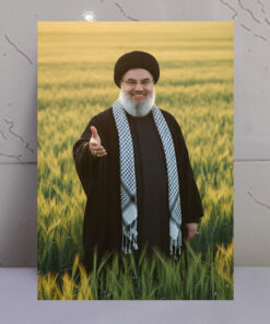 قاب شاسی شهید سید حسن نصرالله در دشت زیبای گندم زار