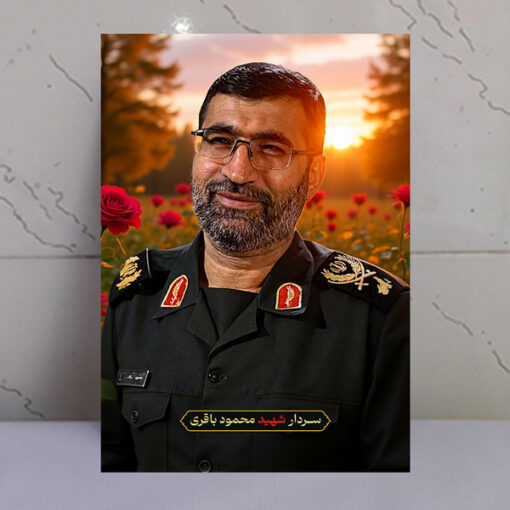 قاب شاسی سردار شهید محمود باقری با زمینه غروب و دشت گل